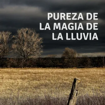 Pureza De La Magia De La Lluvia by Ruido y Naturaleza