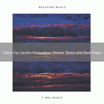 Vibes For Gentle Relaxation, Master Sleep and Best Naps by White Noise for Stress