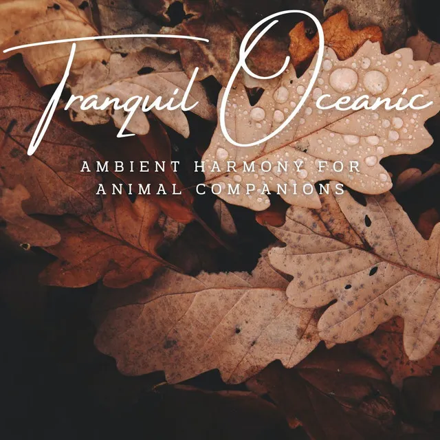 Tranquil Oceanic Pet Retreat: Ambient Harmony for Animal Companions