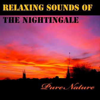 Relaxing Sounds of the Nightingale by Unknown Artist