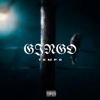 Tempo by Bingo