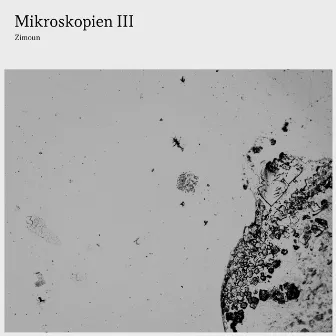 Mikroskopien III by Zimoun