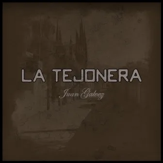 La Tejonera by Juan Galvez