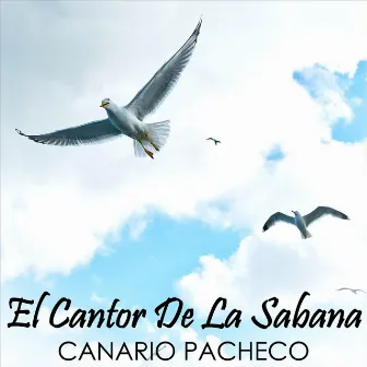 El Cantor de la Sabana by Canario Pacheco