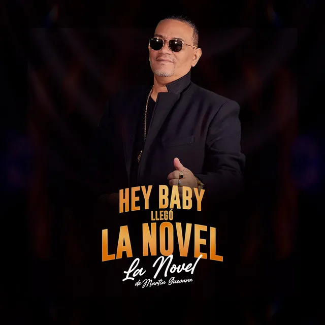 Hey Baby Llego la Novel