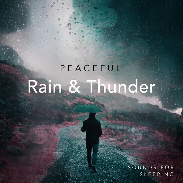 Peaceful Rain & Thunder Sounds for Sleeping