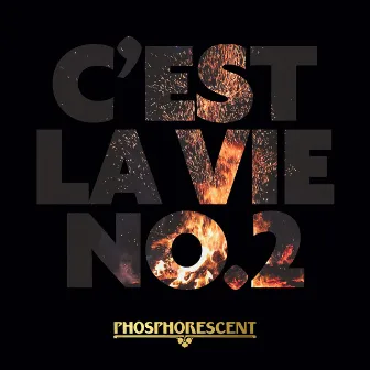 C'est La Vie No.2 by Phosphorescent