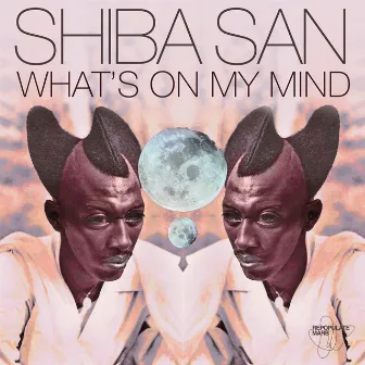 What's on My Mind by Shiba San