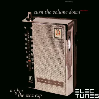 Turn the Volume Down by The Waz Exp.