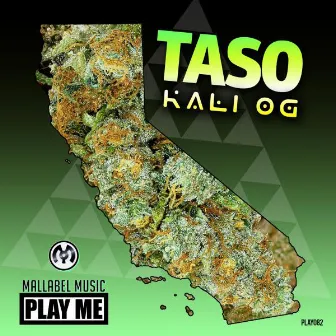 Kali OG by TASO