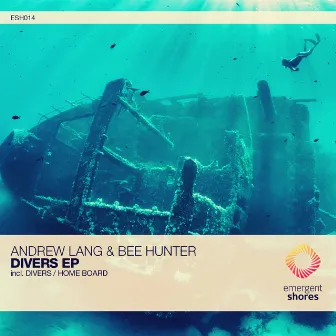 Divers by Bee Hunter