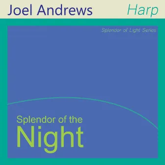 Splendor of the Night by Joel Andrews