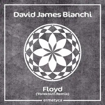 Floyd (Yorekbirn Remix) by David James Bianchi