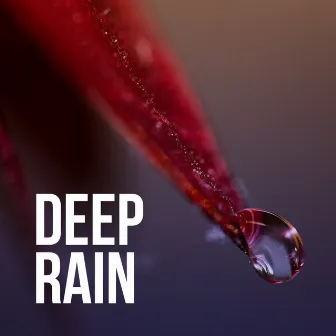 Deep Rain by Whale Song