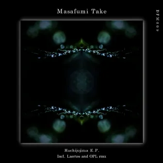 Hachijojima by Masafumi Take