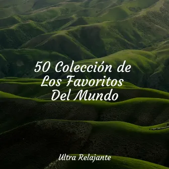 50 Colección de Los Favoritos Del Mundo by Musica para Dormir 101