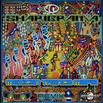 Borrados por el Tiempo by Mexican Trance Mafia