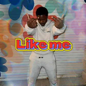 Like Me by longlivehshawn