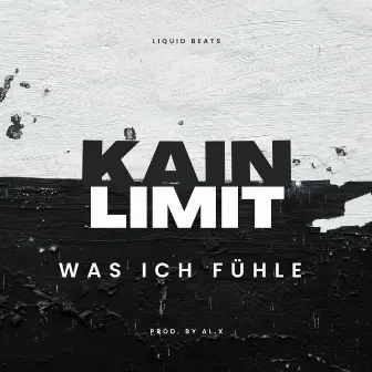 Was ich fühle by Kain Limit