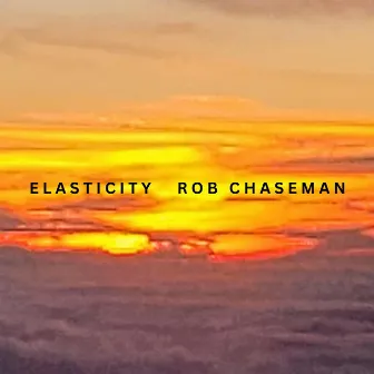 Elasticity by Rob Chaseman