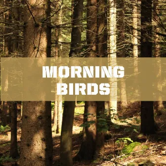 Morning Birds - Waldvögel - Vogelzwitschern by Echoes of Life