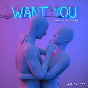 Want You (Jonas Hahn Remix) by Jonas Hahn