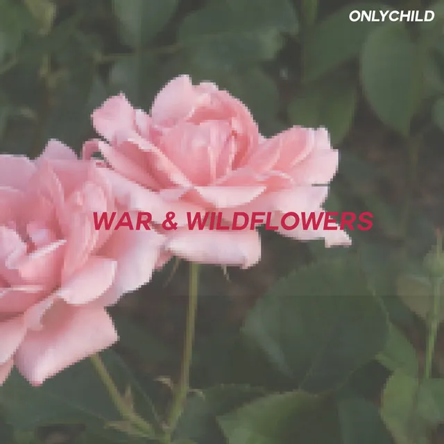 War & Wildflowers