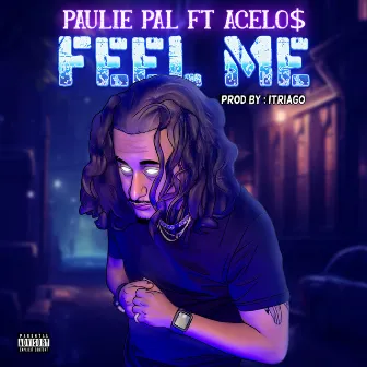 Feel Me by Paulie Pal