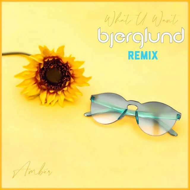 What U Want - Bjerglund Remix Extended