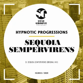 Sequoia Sempervirens by Hypnotic Progressions