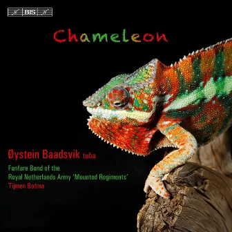 Chameleon by Øystein Baadsvik