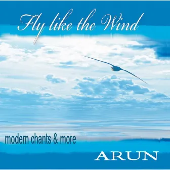 Fly like the Wind by Arun