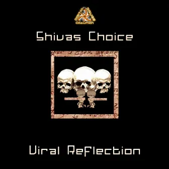 Viral Reflection by Shivas Choice