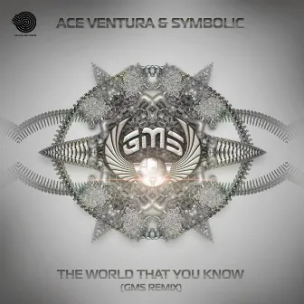 The World That You Know (GMS Remix) by Ace Ventura