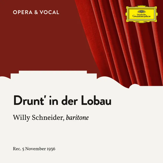 Strecker: Drunt' in der Lobau, Op. 290