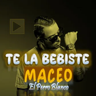 te la bebiste del conten by Maceo El Perro Blanco