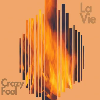 Crazy Fool by La Vie