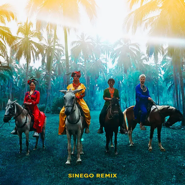 Playa Grande - Sinego Remix