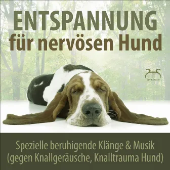 Entspannung für nervösen Hund: Spezielle beruhigende Klänge & Musik (gegen Knallgeräusche, Knalltrauma Hund) by Hunde Liebhaber TA