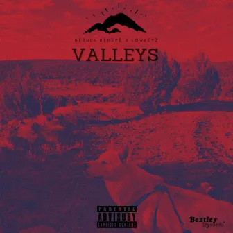 Valleys by Nebula Redeye