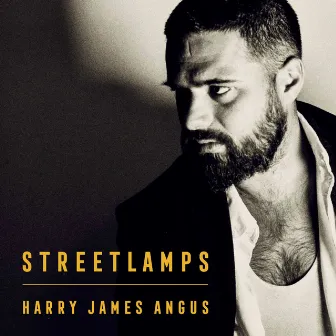 Streetlamps (Abridged) by Harry James Angus