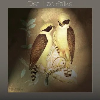 Der Lachfalke by Reyneke