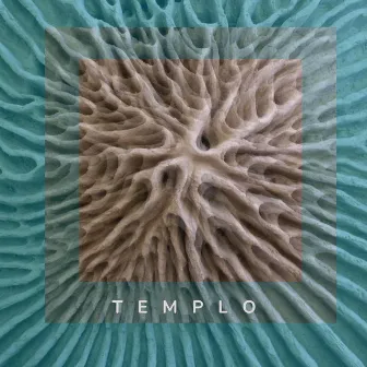 Templo by Unknown Artist