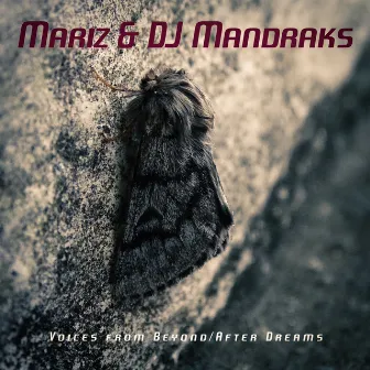 Voices from Beyond / After Dreams by Mariz