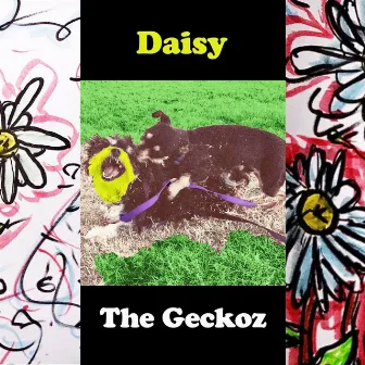 Daisy by The Geckoz