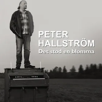 Det stod en blomma by Peter Hallström