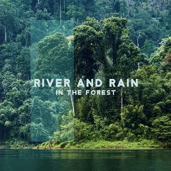 River and Rain in the Forest (Relaxing Sounds of Nature) by Healing Rain Music Zone