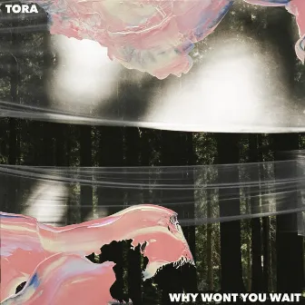 Why Won't You Wait by Tora