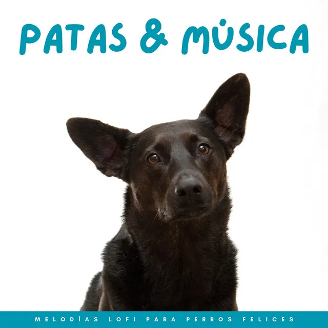 Patas Y Música: Melodías Lofi Para Perros Felices