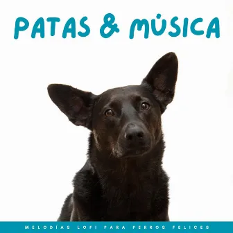 Patas Y Música: Melodías Lofi Para Perros Felices by Resplandor Lofi